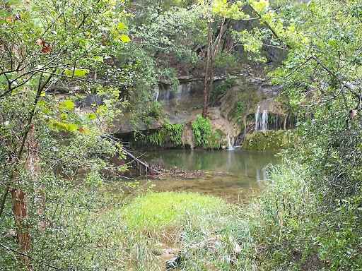 Park «Wild Basin Wilderness Preserve», reviews and photos, 805 N Capital of Texas Hwy, Austin, TX 78746, USA