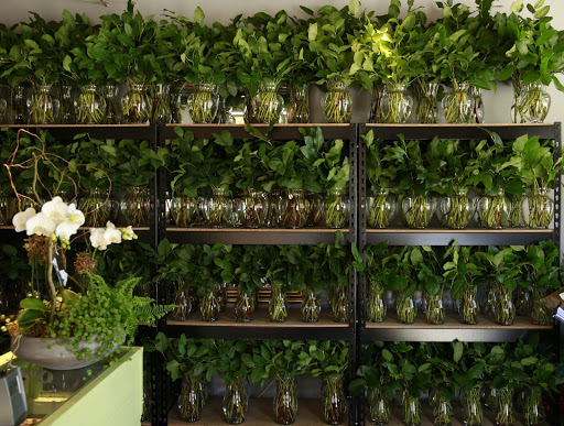 Florist «Wilder Floral Co.», reviews and photos, 1349 Chorro St, San Luis Obispo, CA 93401, USA