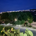 Photo n°11 de l'avis de Vinholi26. fait le 30/08/2023 à 16:38 sur le  Trattoria Pastorello à Peschici