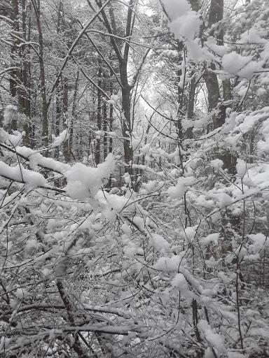 Science Museum «South Shore Natural Science Center», reviews and photos, 48 Jacobs Ln, Norwell, MA 02061, USA