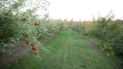 Klim's Orchard