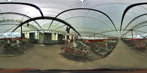 Garden Center «Nanticoke Gardens», reviews and photos, 1543 Union Center Maine Hwy, Endicott, NY 13760, USA