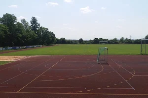 TSV Grettstadt image