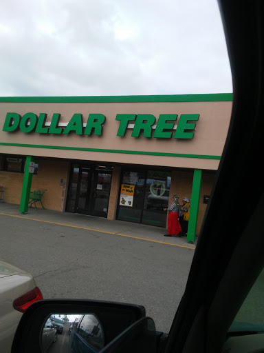 Dollar Store «Dollar Tree», reviews and photos, 110 11th St S, Moorhead, MN 56560, USA