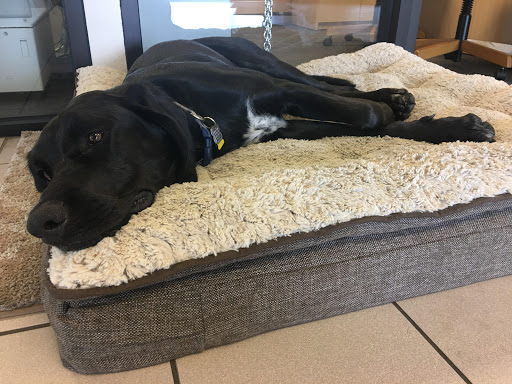 Used Car Dealer «Christensen Auto Sales Inc.», reviews and photos, 3080 OR-99W, McMinnville, OR 97128, USA