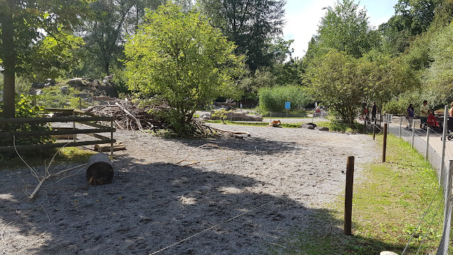 Rezensionen über Aikido Dählhölzli Bern in Bern - Sportstätte