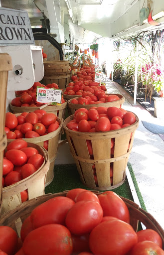 Grocery Store «Red Top Farm Market», reviews and photos, 1801 NJ-70, Southampton Township, NJ 08088, USA