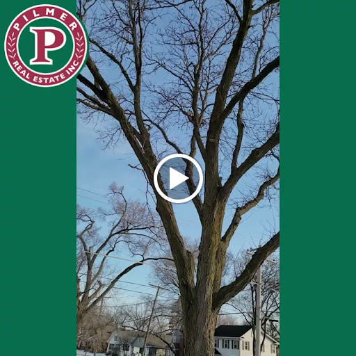 Real Estate Agency «Pilmer Real Estate Inc», reviews and photos, 1002 Prairie St, Aurora, IL 60506, USA