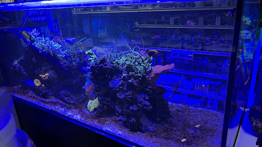 Tropical Fish Store «Aquatic Obsessions», reviews and photos, 1150 St George Ave, Avenel, NJ 07001, USA