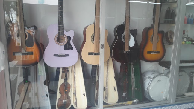 A.V.K. - Tienda de instrumentos musicales