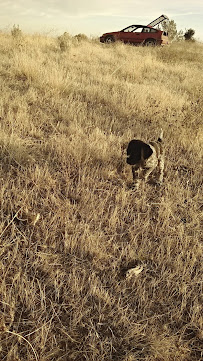 Treborwolf Kennels - Photo 8 - Car repair in Boise, ID, Boise