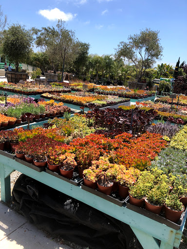 Terra Bella Nursery, Inc. image