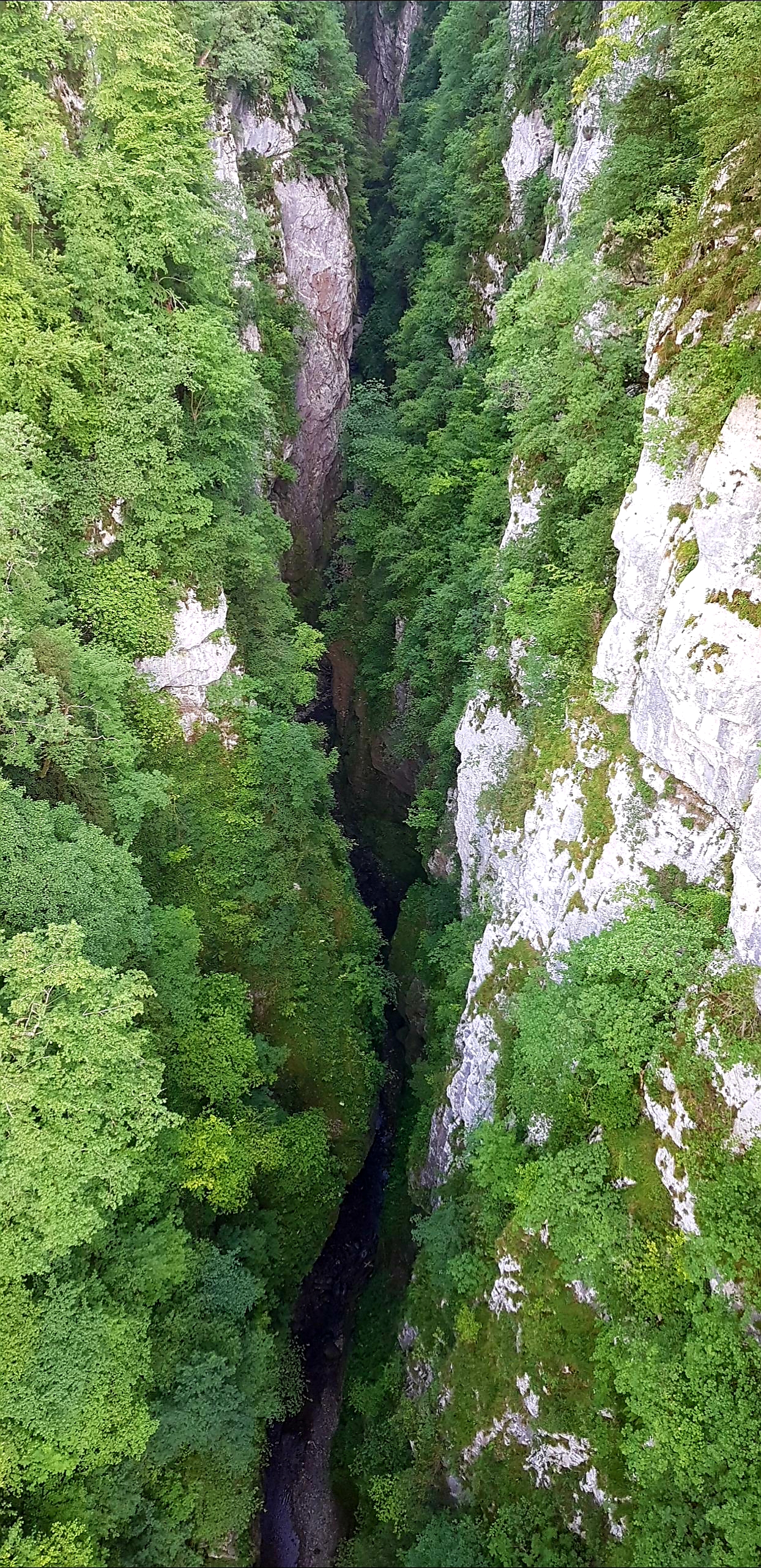 Photo n° 16 de l'avis de Julie.u fait le 29/07/2019 à 22:36