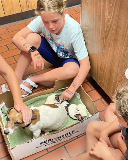 Fayette Veterinary Clinic image