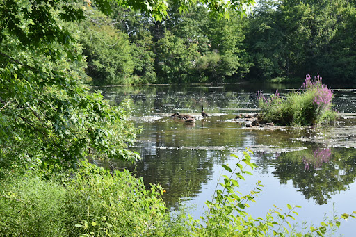 Nature Preserve «Twin Lakes Preserve», reviews and photos, Park Ave, Wantagh, NY 11793, USA