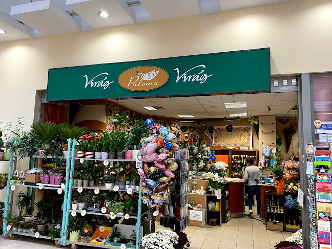 Paloma Virágüzlet