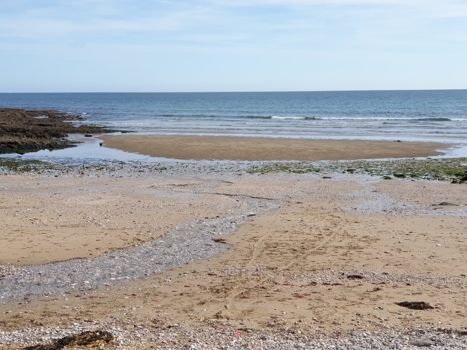 Φωτογραφία του Lannacombe beach με επίπεδο καθαριότητας εν μέρει καθαρό