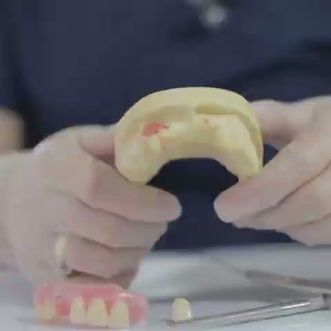 Ciencia Dental
