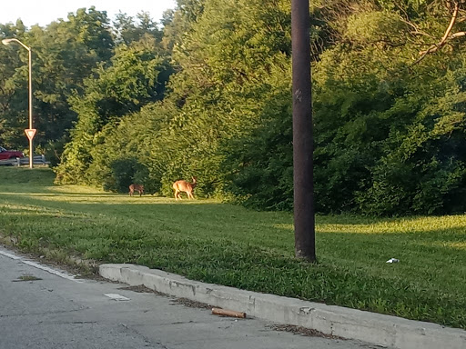 Golf Course «Woodstock Club», reviews and photos, 1301 West 38th Street, Indianapolis, IN 46208, USA