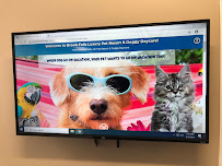 Brook-Falls Luxury Pet Resort & Doggy Day Care - Photo 5 - Car repair in Menomonee Falls, WI, Milwaukee