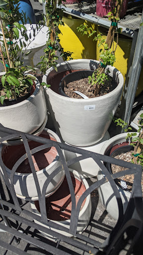 Hardware Store «Chase Ace Hardware Garden & Gift Emporium», reviews and photos, 1826 4th St, San Rafael, CA 94901, USA