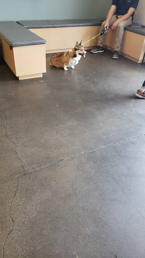 Primary Care Animal Hospital image