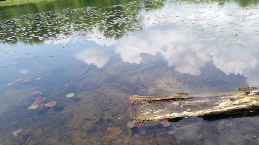 Nature Preserve «Reinstein Woods Nature Preserve», reviews and photos, 93 Honorine Dr, Depew, NY 14043, USA