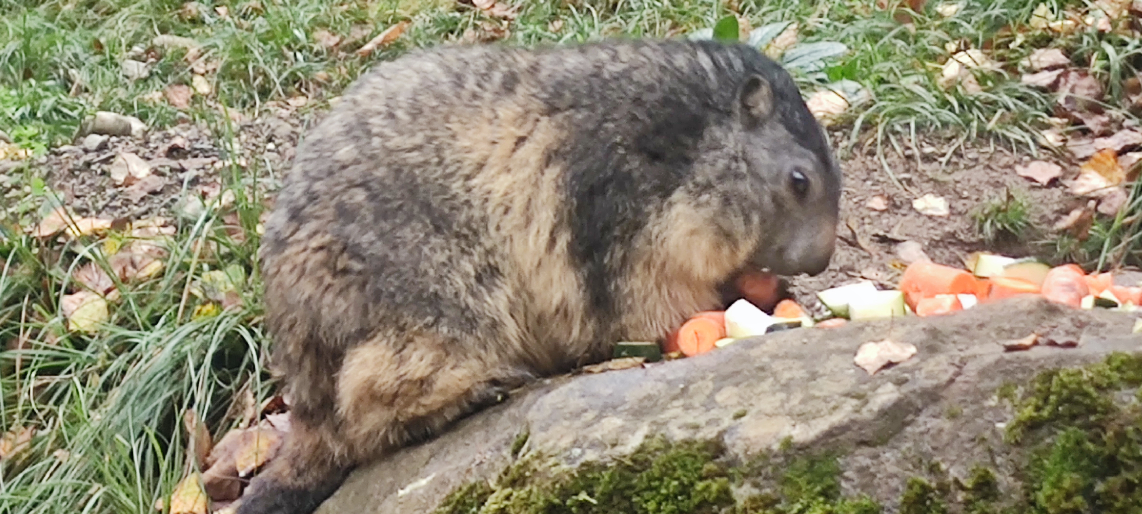 Photo n° 9 de l'avis de Yvette.o fait le 05/09/2023 à 07:55