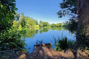 Cuttle Mill Fishery image