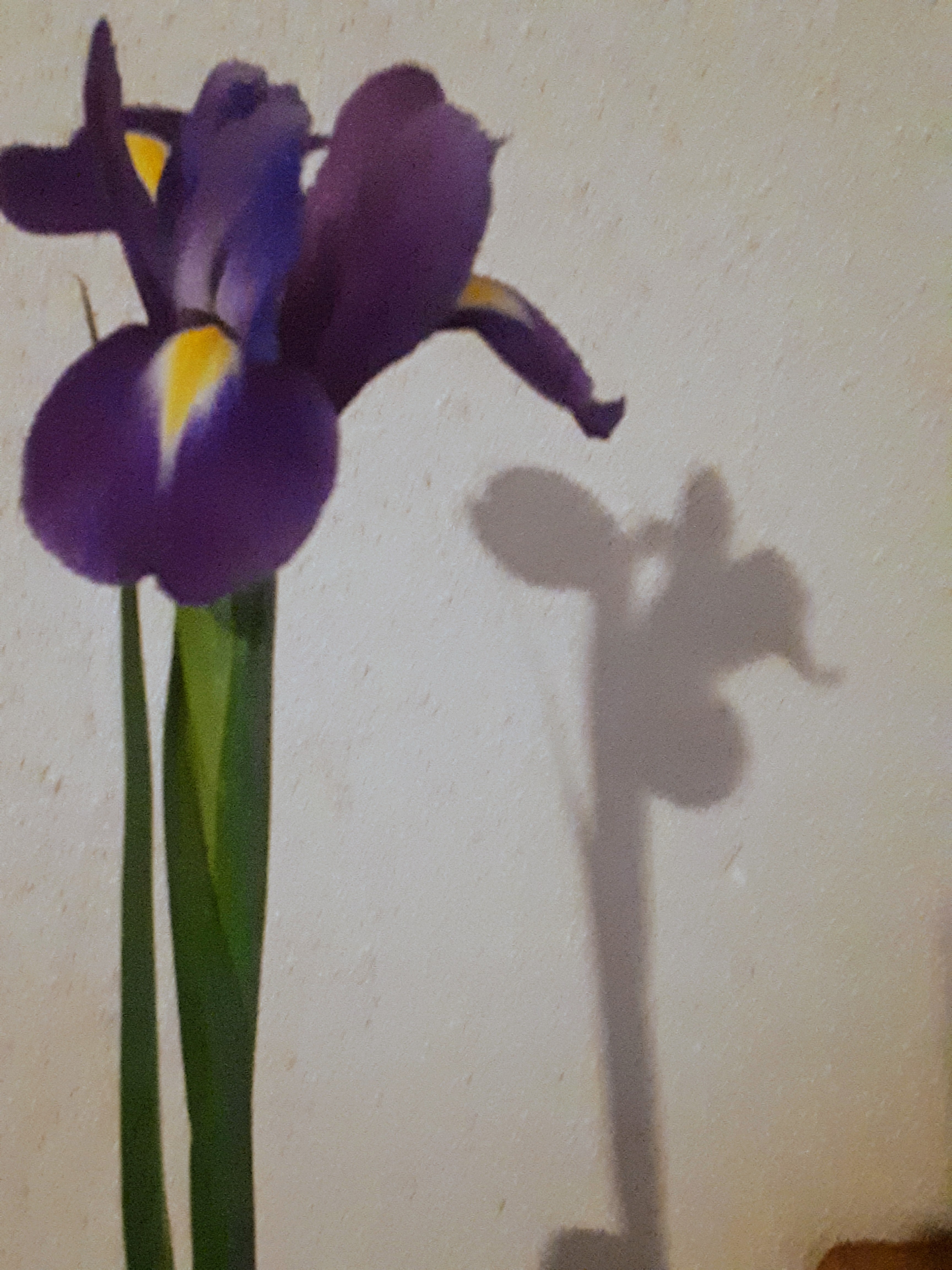 Photo n° 3 de l'avis de Karine.i fait le 01/05/2019 à 17:01