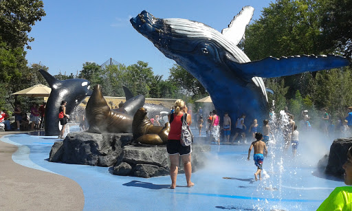 Water Park «Alaskan Adventure», reviews and photos, 3701 S 10th St, Omaha, NE 68107, USA