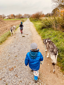 Hundeschule Wolfsrudel Brabanter Str. 145, 41751 Viersen, Deutschland