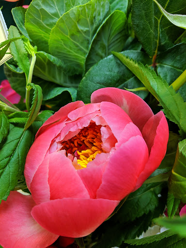 Florist «Sunnywoods Florist», reviews and photos, 251 Main Street, Chatham, NJ 07928, USA