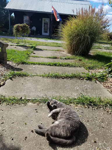 Winery «Smith-Berry Winery», reviews and photos, 855 Drennon Rd, New Castle, KY 40050, USA