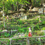 Photo n°10 de l'avis de Fabio.o fait le 10/05/2021 à 20:22 sur le  Agriturismo Antica Trattoria dell'Eremita à Lucca