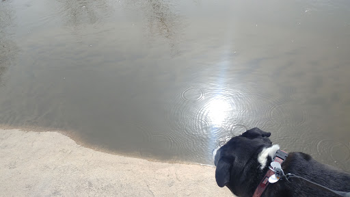 Park «Cherry Creek Valley Ecological Park», reviews and photos, 7500 S Jasper Ct, Centennial, CO 80112, USA