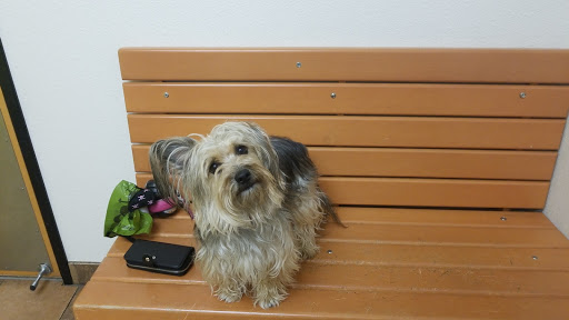 Pet Supply Store «PetSmart», reviews and photos, 777 S Willow St, Manchester, NH 03103, USA