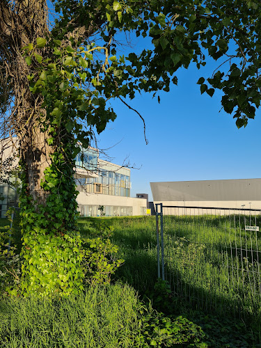 Beoordelingen van De Box in Oostende - School