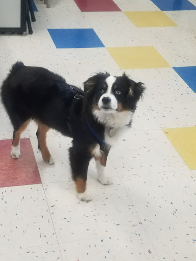 Pet Supply Store «Petco Animal Supplies», reviews and photos, 1591 Sloat Blvd, San Francisco, CA 94132, USA