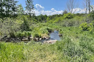 Nichols Creek State Wildlife Area image