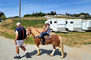 Monterey Bay Equestrian Center image