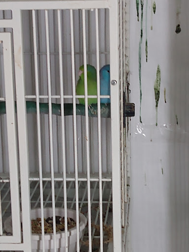 Shopping Mall «Airport Mall», reviews and photos, 1129 Union St, Bangor, ME 04401, USA