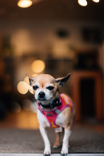 Shoe Store «Shoe Market», reviews and photos, 160 N 6th St, Brooklyn, NY 11211, USA