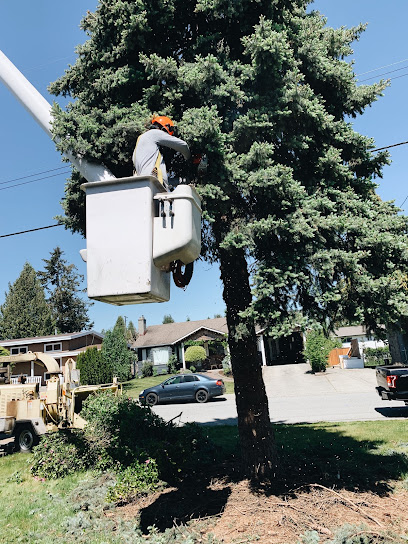 Diamond Tree Service