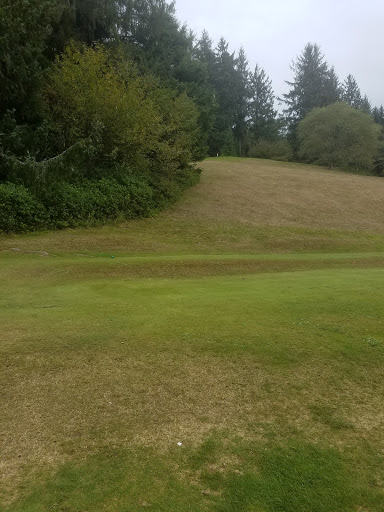 Golf Course «Alderbrook Golf Course», reviews and photos, 7300 Alderbrook Rd, Tillamook, OR 97141, USA