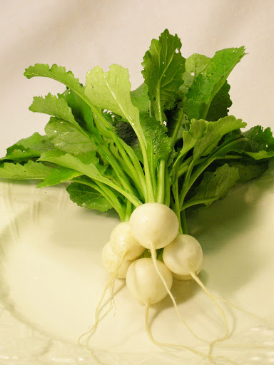 Produce Market «Blue Moon Acres», reviews and photos, 11 Willow Creek Dr, Pennington, NJ 08534, USA