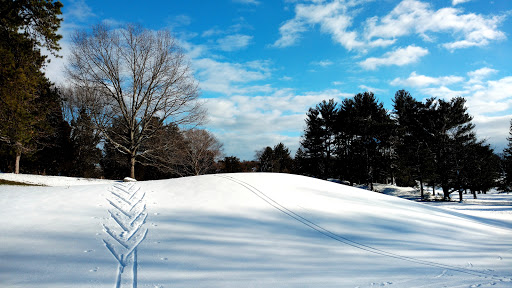 Golf Club «Bear Hill Golf Club», reviews and photos, 2 North St, Stoneham, MA 02180, USA