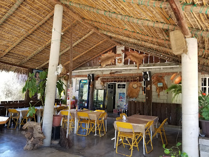 Restaurante Las Palmas - 69744 San Sebastián Tecomaxtlahuaca, Oaxaca, Mexico