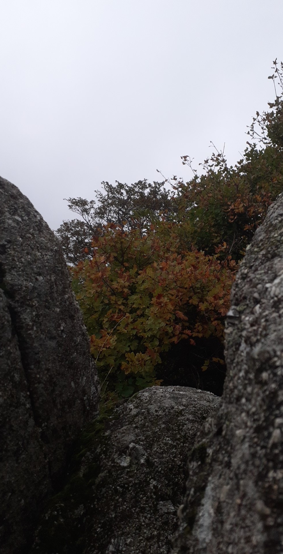 Photo n° 13 de l'avis de LEELOO.A fait le 03/11/2023 à 23:07