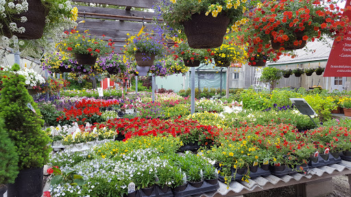 Florist «Kinsch Village Florist & Garden Center», reviews and photos, 301 Johnson St, Palatine, IL 60067, USA